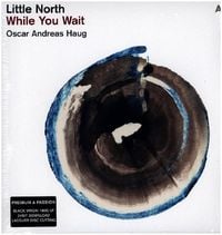 Produktbild: While You Wait, 1 Schallplatte + Download (Black Vinyl)