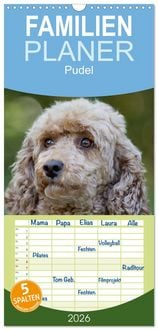 Produktbild: Familienplaner 2026 - Pudel mit 5 Spalten (Wandkalender, 21 x 45 cm) CALVENDO