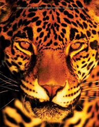 Produktbild: Essentials of Ecology with Other