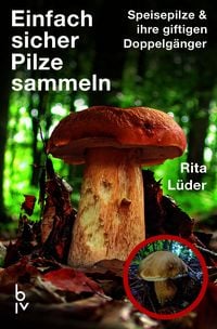 Produktbild: Einfach sicher Pilze sammeln