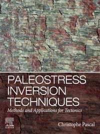 Produktbild: Paleostress Inversion Techniques