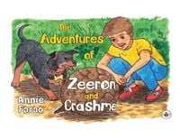 Produktbild: The Adventures of Zeeron and Crash