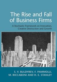 Produktbild: Rise and Fall of Business Firms