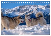 Produktbild: Alaskan Malamute in seinem Element (Tischkalender 2026 DIN A5 quer), CALVENDO Monatskalender