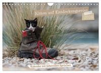 Produktbild: Kitten auf Entdeckungsreise (Wandkalender 2026 DIN A4 quer), CALVENDO Monatskalender