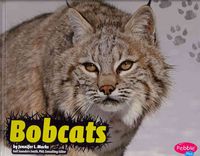 Produktbild: Bobcats