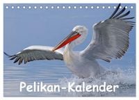 Produktbild: Pelikan-Kalender (Tischkalender 2026 DIN A5 quer), CALVENDO Monatskalender