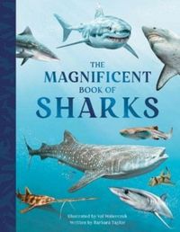 Produktbild: Taylor, B: Magnificent Book of Sharks