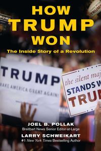 Produktbild: How Trump Won