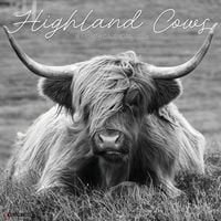 Produktbild: Highland Cows (B&w) 2026 Wall Calendar