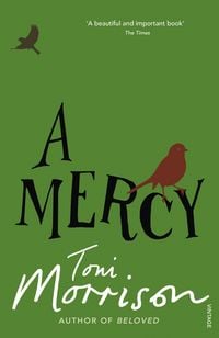 Produktbild: A Mercy