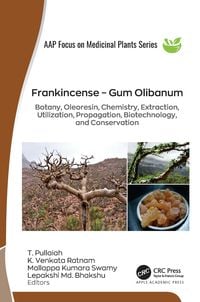 Produktbild: Frankincense - Gum Olibanum