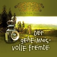 Produktbild: Der geheimnisvolle Fremde