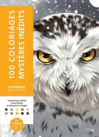 Produktbild: 100 coloriages myst&egrave;res in&eacute;dits