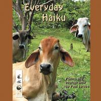 Produktbild: Everyday Haiku