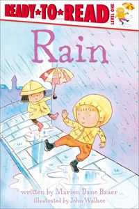 Produktbild: Rain