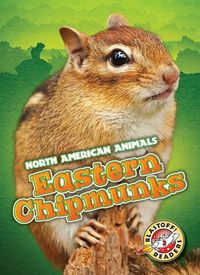 Produktbild: Eastern Chipmunks