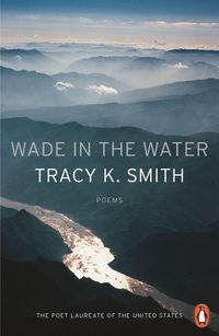 Produktbild: Wade in the Water