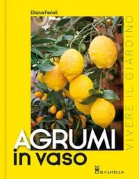 Produktbild: Agrumi in vaso