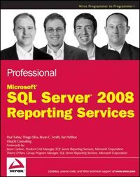 Produktbild: Professional Microsoft SQL Server 2008 Reporting Services