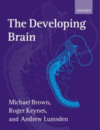 Produktbild: Developing Brain