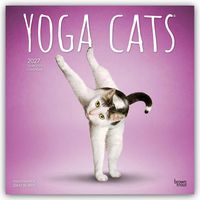 Produktbild: Yoga Cats &ndash; Katzen Yoga 2027 &ndash; 16-Monatskalender