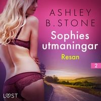 Produktbild: Sophies utmaningar 2: Resan - erotisk novell