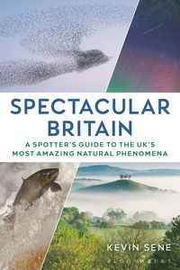 Produktbild: Spectacular Britain