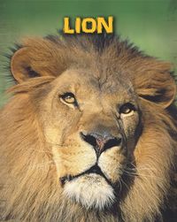 Produktbild: Lions
