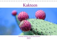 Produktbild: Kakteen - Stachelige Sch&ouml;nheit aus der N&auml;he betrachtet (Wandkalender 2022 DIN A4 quer)
