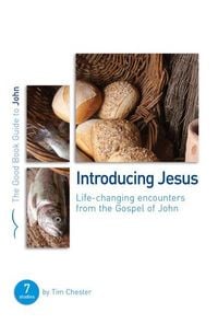 Produktbild: John: Introducing Jesus
