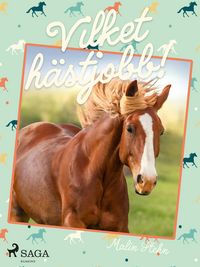 Produktbild: Vilket h&auml;stjobb!