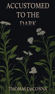 Produktbild: Accustomed to the Dark