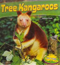 Produktbild: Tree Kangaroos