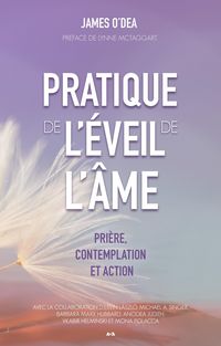 Produktbild: Pratique de l'eveil de l'ame