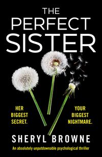 Produktbild: The Perfect Sister