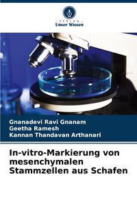 Produktbild: In-vitro-Markierung von mesenchymalen Stammzellen aus Schafen