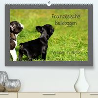 Bild vom Artikel Französische Bulldoggen (Premium, hochwertiger DIN A2 Wandkalender 2023, Kunstdruck in Hochglanz) vom Autor Heike Hultsch