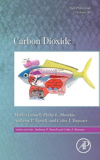 Produktbild: Carbon Dioxide