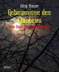 Produktbild: Geheimnisse des Glaubens