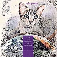 Produktbild: Tsuki chat lunaire en Finist&egrave;re