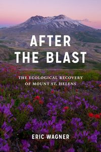 Produktbild: After the Blast