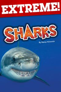 Produktbild: Extreme: Sharks