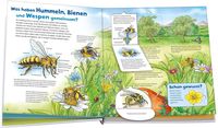 WAS IST WAS Junior Band 34 Bienen, Wespen, Hummeln