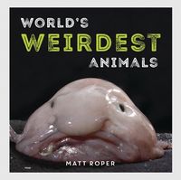 Produktbild: World's Weirdest Animals