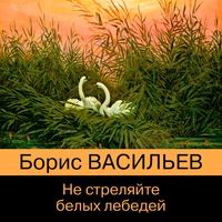 Produktbild: Ne strelyayte belyh lebedey