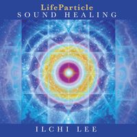 Produktbild: LIFEPARTICLE SOUND HEALING D