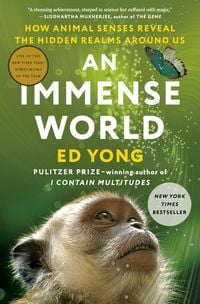 Produktbild: An Immense World