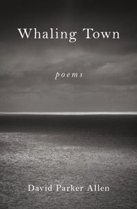 Produktbild: Whaling Town