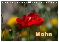 Produktbild: Mohn (Wandkalender 2027 DIN A4 quer), CALVENDO Monatskalender